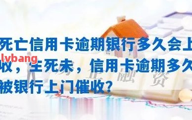 上海新闻关于信用卡逾期(2020年信用卡逾期新规定9月份)